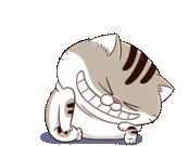 Gif animé rire chat